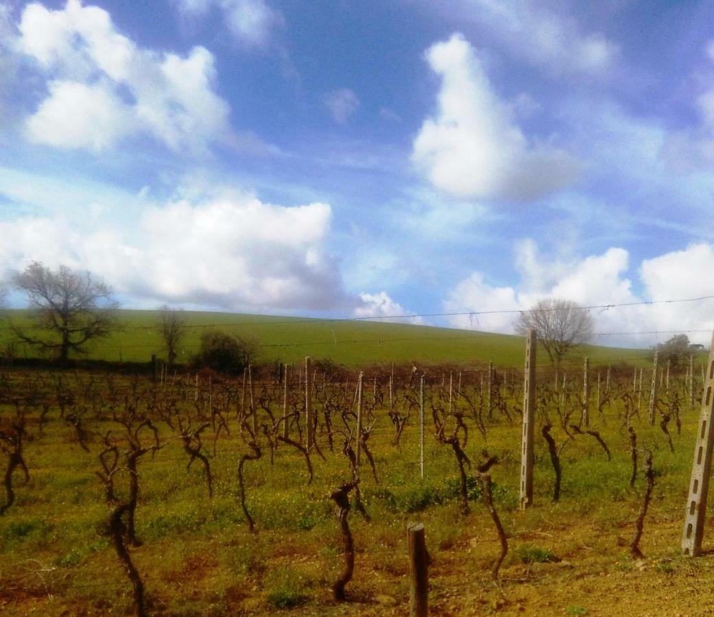 Bauernhof Il Cantiniere
