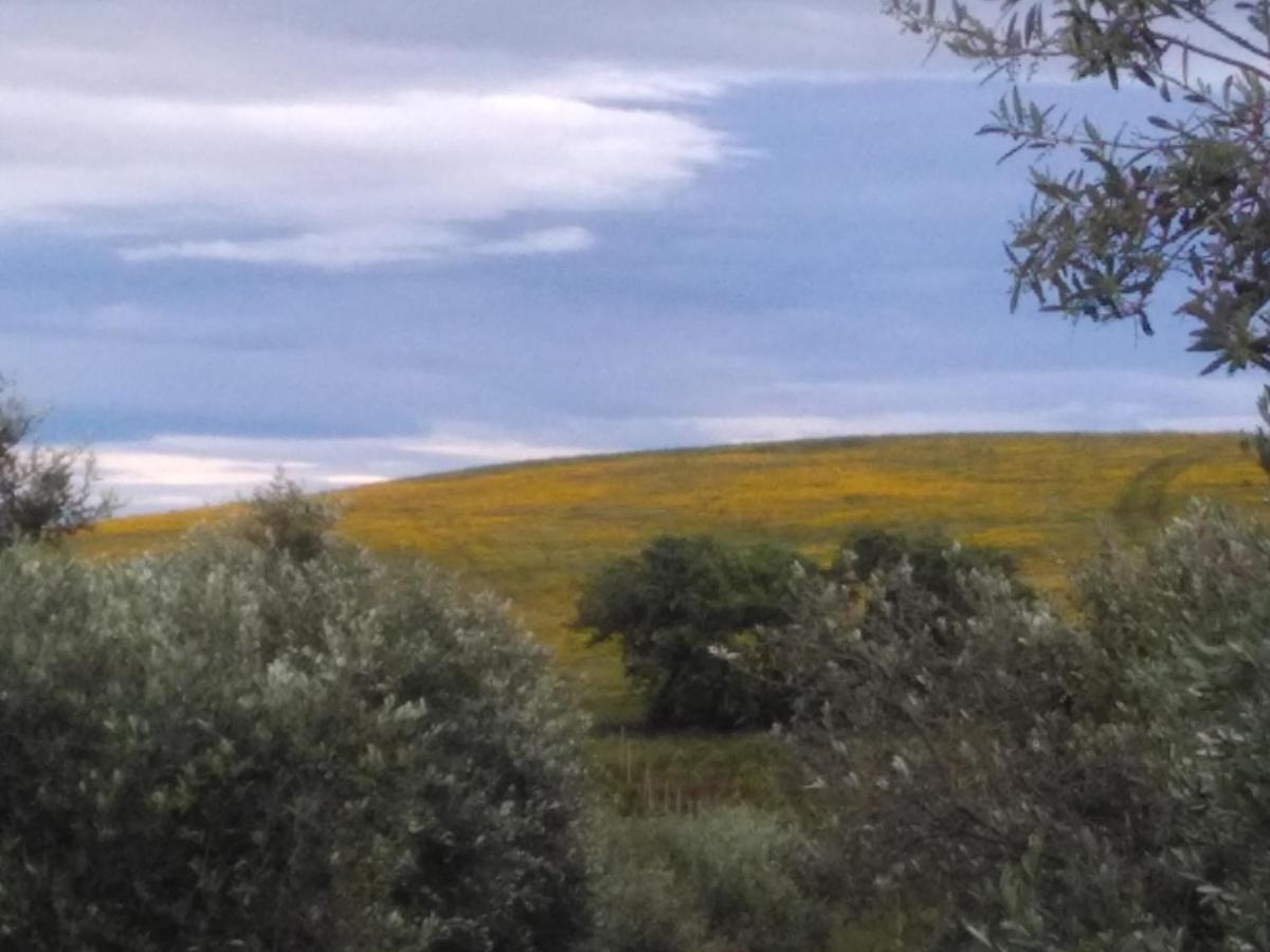 Il Cantiniere Grosseto